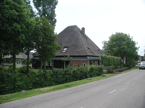 Bomen markeren de oprit