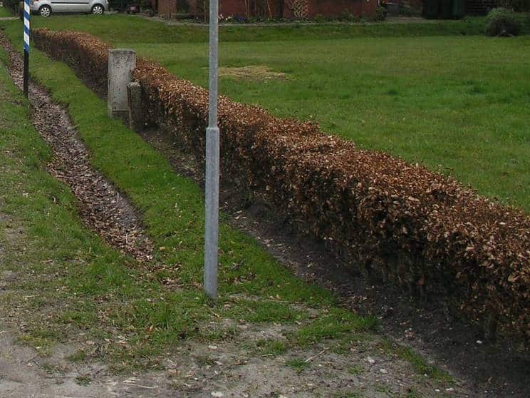 haag in de voortuin